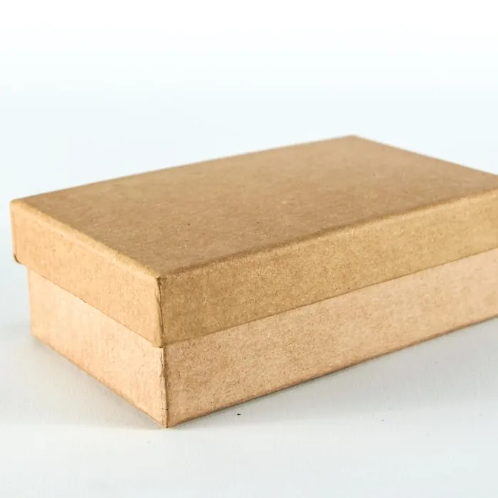 Printed Mailer Box